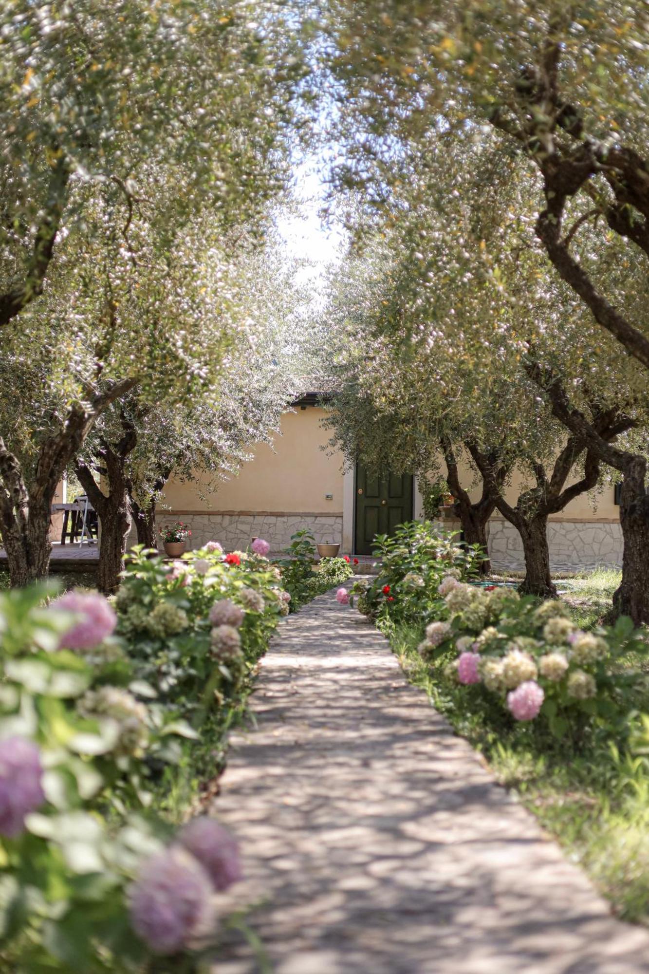 Agriturismo Il Pozzo Casal Velino Εξωτερικό φωτογραφία